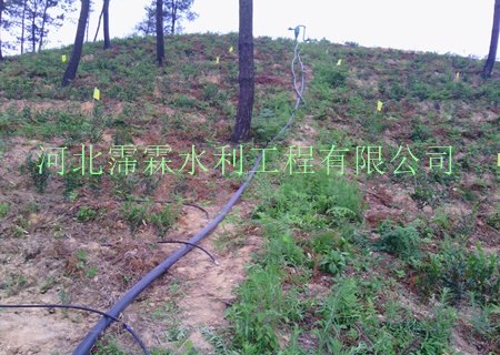 大田滴灌膜下滴灌灌水管压力滴灌管重力滴灌管