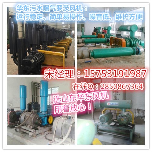 华东污水曝气罗茨风机,现货销售曝气罗茨风机