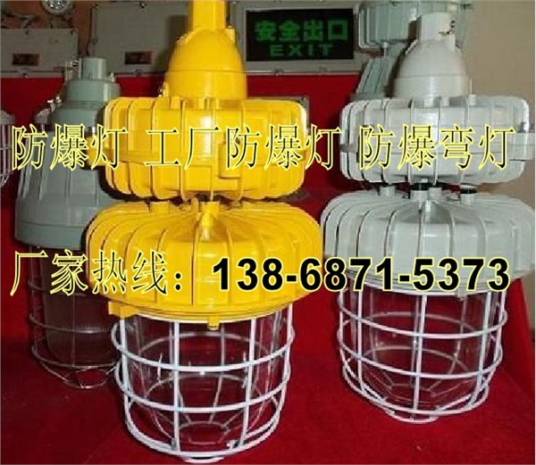 BAD81-W40b1壁式弯杆30°防爆无极灯光源40W无极灯