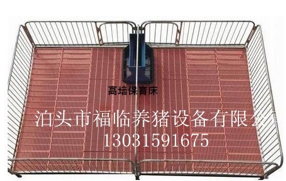 母猪定量杯猪场自动送料系统保育床批发