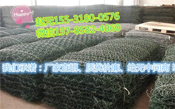 广东五绞生态格网护堤护脚五绞生态格网镀高尔凡覆塑PVC