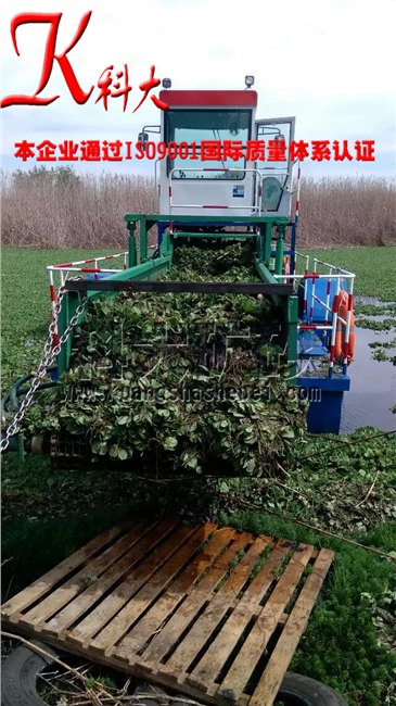 湖南航道清理水草设备水面除草船
