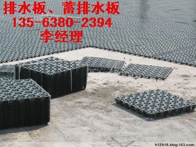 2公分3公分蓄排水板HDPE凹凸屋面种植排水板