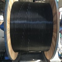 甘肃供应架空绝缘电缆kvvp22控制电缆架空绝缘电缆价格
