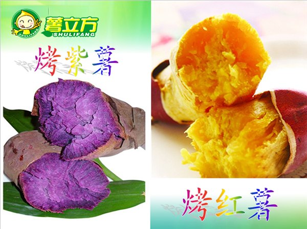泉城烤薯加盟投资好项目