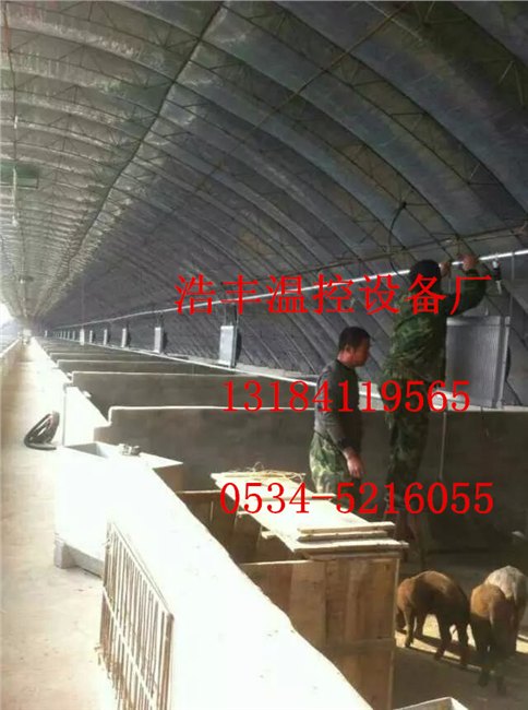 供应水暖猪舍地暖锅炉价格，猪舍地暖锅炉报价