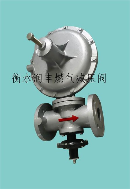 临江市小型锅炉燃气调压箱润丰厂家制造质量高