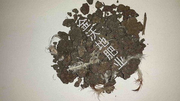 干鸡粪厂家直销金沃地限时促销280元