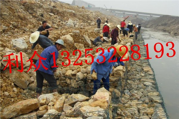 利众牌河道护坡生态格网护垫镀锌包塑蜂巢格网