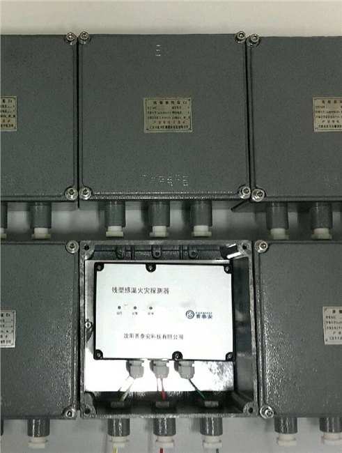 不可恢复缆式线型防爆火灾探测器燃油锅炉燃气锅炉喷漆房专用防爆电缆