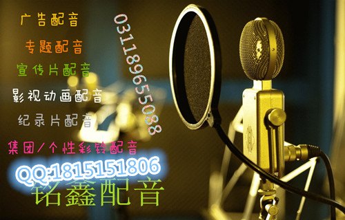 浙江配音公司，配网，广告配音