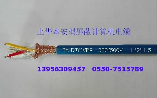 ZRB-IA-DJYJVRP-300/500V-121.5mm2