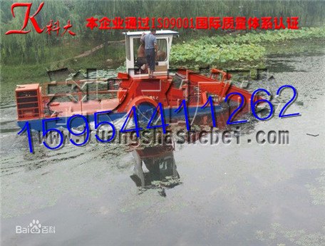 青州水草打捞船那家好水草清理机械全自动割草船