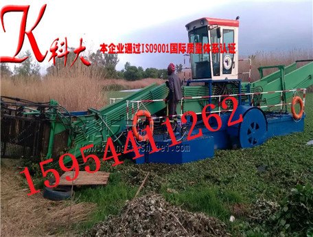 水浮莲打捞船厂家直销割草船上海吃草船