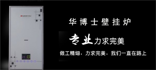 新型华博士壁挂炉采暖洗浴两用智能型燃气壁挂炉壁挂式家用