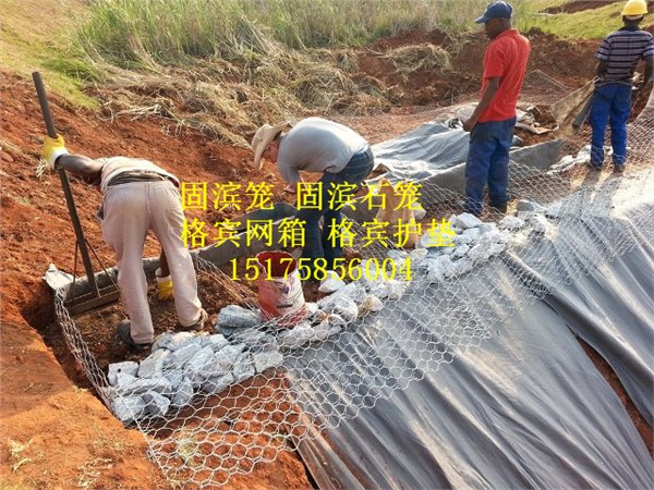 河道防洪治理固滨笼生态沟渠边坡护岸固滨笼