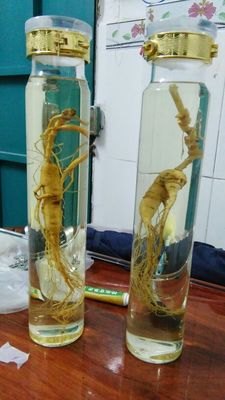 2016最新款泡酒瓶，优质泡酒瓶优质泡酒瓶要多少钱?