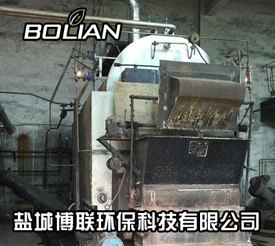 供应盐城阜宁中小燃煤锅炉改造生物质锅炉-本地专业厂家