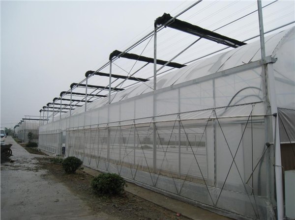 薄膜连栋温室搭建/温室厂家