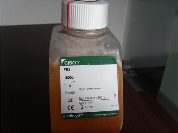 血清进口清关代理胎牛血清进口清关费用澳洲胎牛血清香港清关