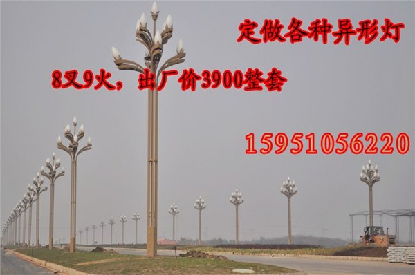 8叉9火玉兰灯厂家恒华照明组合灯厂家