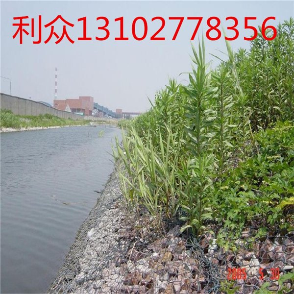 双隔板雷诺护垫坡脚加固0.3米生态雷诺护垫规格