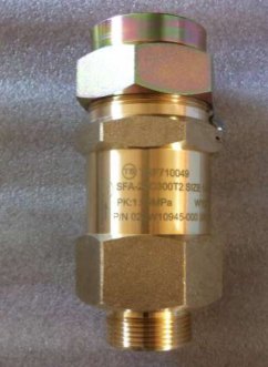 安全阀SFA22C-300T