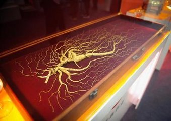 2017中国广州国际参业展览会