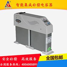 智能集成补偿电容器厂家直销超低价格