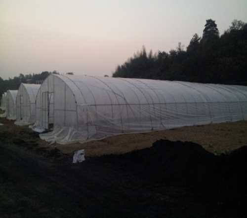 长沙食堂蔬菜配送电话单位食堂蔬菜配送基地