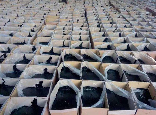 淄博修公路的都用那个牌子的路面灌缝胶
