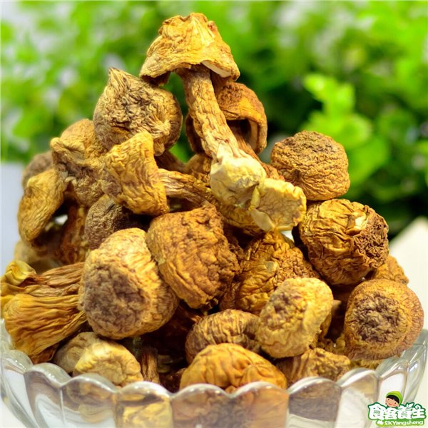 森冉生物厂家直销巴西蘑菇提取物姬松茸多糖