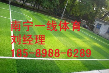 田林人造草皮价格，百色人造草皮施工