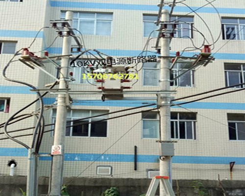 ZW10-12XDG/630-20双隔离互投装置