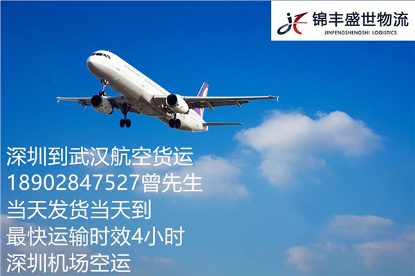 东莞到武汉空运物流公司《航空运输》