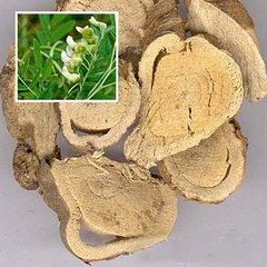 森冉生物现货供应苦参提取物苦参碱氧化苦参碱