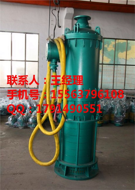 江苏宿迁最新款BQS矿用隔爆型潜水排污电泵
