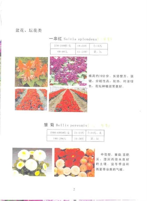 供应花卉种子组合福禄考种子批发
