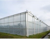 平顶山蔬菜温室大棚建造与安装