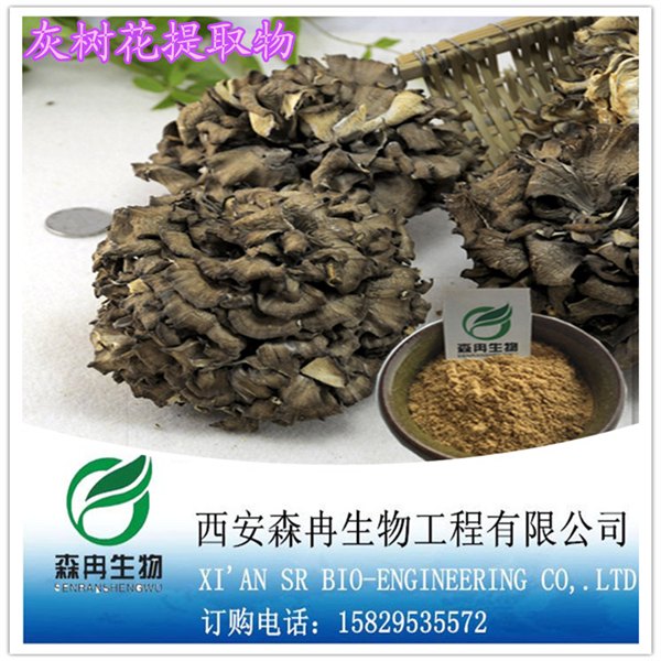 森冉生物灰树花提取物/舞茸提取物灰树花多糖