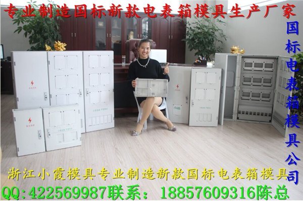 最新20表塑胶电表箱模具，透明PC电表箱塑胶模具价位