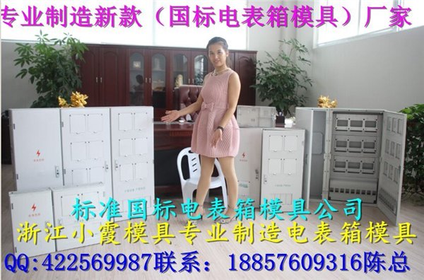 直销1表电表箱塑料模具，1表塑料电表箱模具，配电柜塑胶模具价格