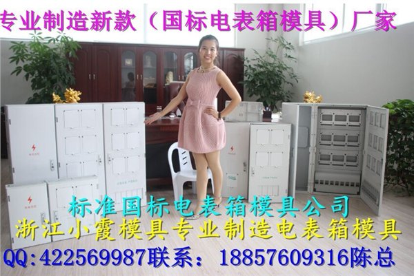 高端20表电表箱塑胶模具，PC透明电表箱模具，配电箱塑胶模具厂家