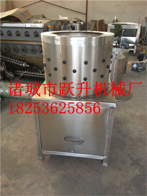 专业禽胗甩油机批发