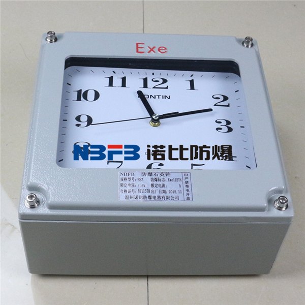 bsz防爆钟定做
