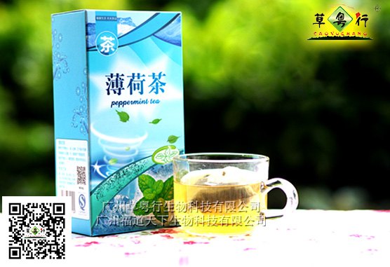 广东代用茶加工厂专业提供薄荷代用茶贴牌加工服务