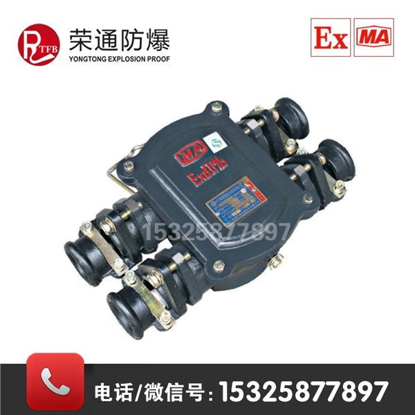 荣通BHD2-100/660-4T煤矿用防爆低压接线盒防爆接线盒
