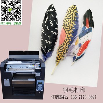 羽毛印花机/万能打印机博易创打印机厂家直销