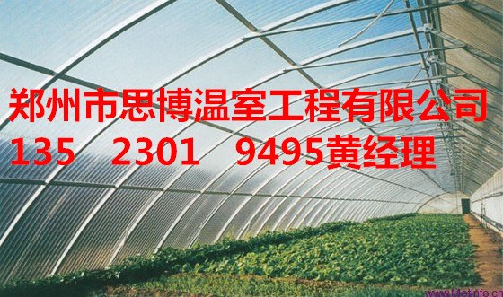 无立柱蔬菜大棚建设方案及公司