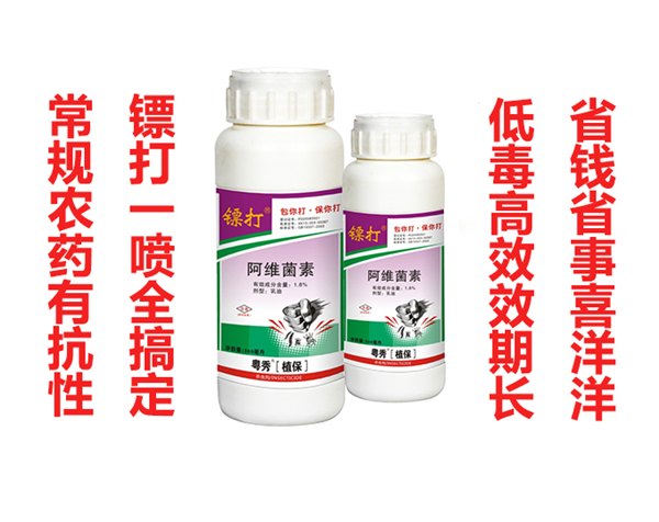 防治玉米粘虫杀虫剂玉米螟虫专用杀虫剂玉米钻心虫长效杀虫剂